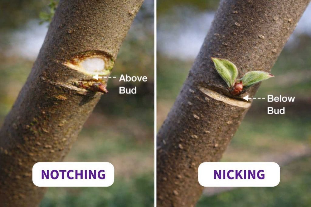 This image has an empty alt attribute; its file name is IMG-20260206-WA0004-1-1024x683.jpg